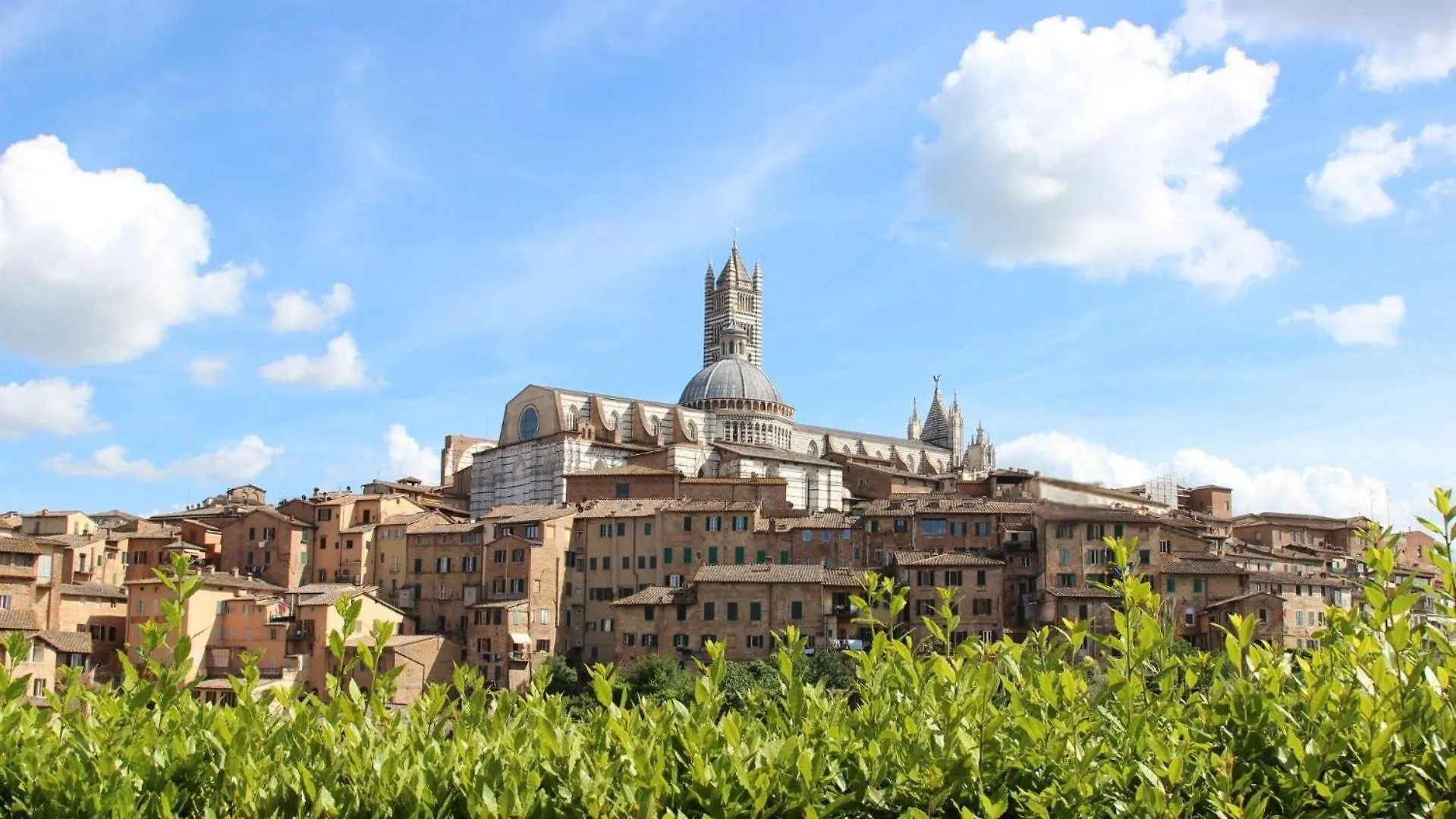Nuovo-Grazioso-Appartamento-Nel-Cuore-Di-Siena Italy